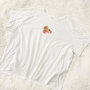Abercrombie & Fitch White Skimming Tomato Graphic Tee